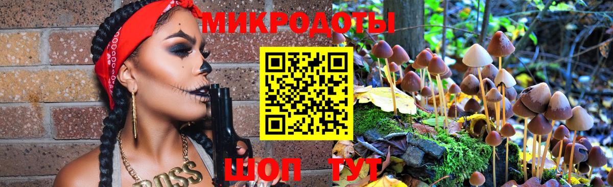 Псилоцибиновые грибы Psilocybine cubensis Гай